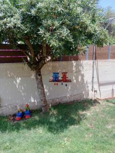 maria corfu apartments