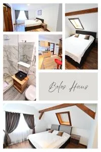 FLH - Bolos Haus - Axente Sever