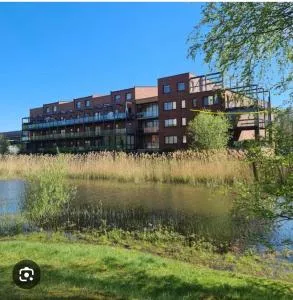 On Chilling on Relaxing - Aucugals