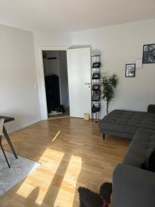 Central Apartment Aalborg C - Sorin