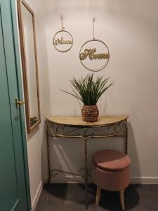 Palm Leaf Studio Nice