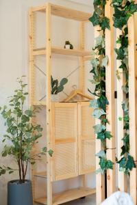 Dimitras luxury apartments