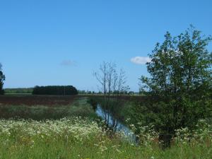 Zum Schwarzen Stiefel - Bauernhäuschen