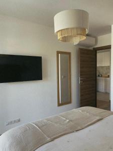 Appartements Bel Appartement Vieux Port Porto-Vecchio : photos des chambres