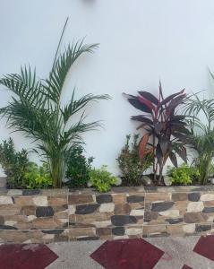 Hostal Las Orquideas 2