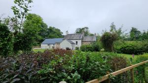 Lady Farm - Bargany