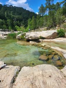 B&B / Chambres d'hotes BandB - les rosiers - Corse - chambre Garance : photos des chambres