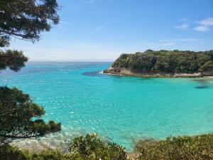 B&B / Chambres d'hotes BandB - les rosiers - Corse - chambre Garance : photos des chambres