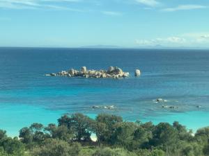 B&B / Chambres d'hotes BandB - les rosiers - Corse - chambre Garance : photos des chambres