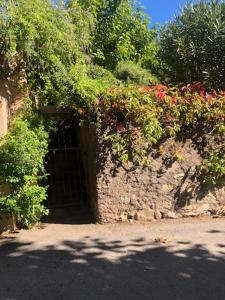 B&B / Chambres d'hotes BandB - les rosiers - Corse - chambre Garance : photos des chambres