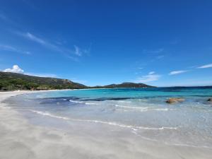 B&B / Chambres d'hotes BandB - les rosiers - Corse - chambre Garance : photos des chambres