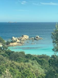 B&B / Chambres d'hotes BandB - les rosiers - Corse - chambre Garance : photos des chambres