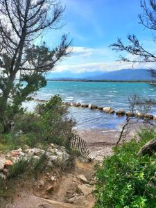 B&B / Chambres d'hotes BandB - les rosiers - Corse - chambre Garance : photos des chambres