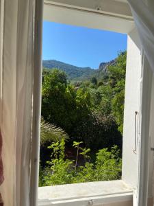 B&B / Chambres d'hotes BandB - les rosiers - Corse - chambre Garance : photos des chambres