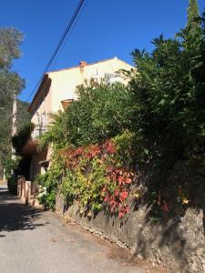 B&B / Chambres d'hotes BandB - les rosiers - Corse - chambre Garance : photos des chambres