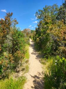 B&B / Chambres d'hotes BandB - les rosiers - Corse - chambre Garance : photos des chambres