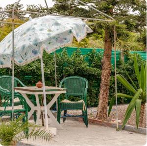 Seaside apartment ,Garden Level with Stunning Ocean View