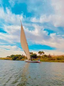 Felucca sailing boat from Aswan to komombo with private bathroom