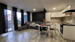 Apartament Centrum w Parku przy Katedrze nr 7 - 克维曾