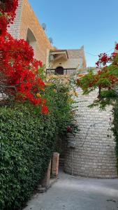 Chalet in Marina 6 District 31