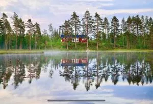 Luxury off grid house - Edsbyn