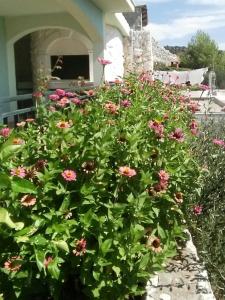 Apartments with parking space Sevid, Trogir - 16111