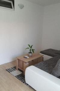 Apartments with parking space Zadar - 23051