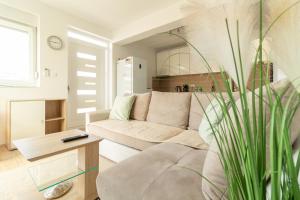 Apartments with parking space Sukosan, Zadar - 23347