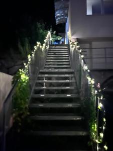 TOP 2 Geräumiges 2 Zimmer Apartment für bis zu 6 Personen