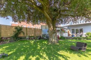 Buchenheinrich Karlas blau Stuuv