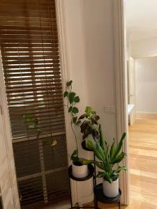 Hunter house - 坎伯维尔