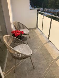 Studio Baltic Garden NADMORSKI RAJ Sztutowo