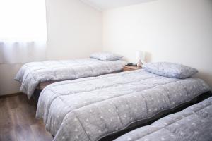 Casa Avenida Amsterdam