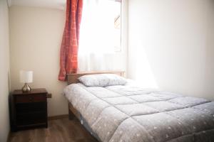 Casa Avenida Amsterdam