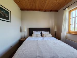 Apartmani Vinogradi