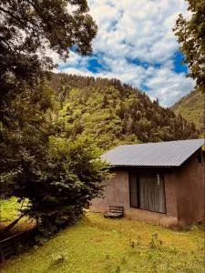 Cozy house in the forest - Sakire