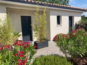 Appartements Les Jardins d'Oc - Wifi, Terrasse et Jardinet - Appart T2 neuf : Appartement Supérieur