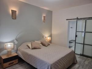 Charming holiday house with private pool, Maillane