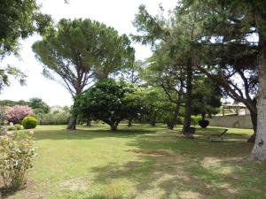 Maisons de vacances Charming holiday house with private pool, Maillane : photos des chambres