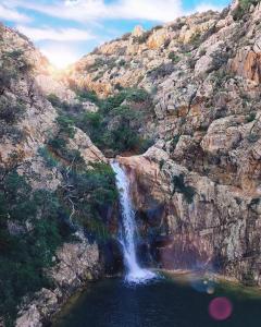 Olivastro Apartment Murta Maria img26