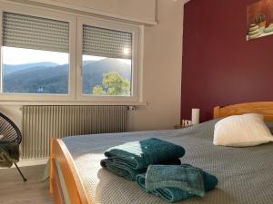 Appartements Au reposoir - vue sur la montagne : photos des chambres