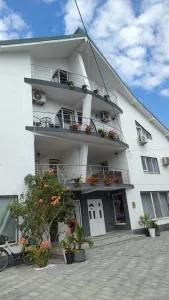 西尔维娅旅馆 - 艾福雷诺德