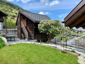 Mazot - einzigartig I view I ruhig I ski I wandern - Collombey