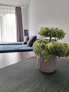 Blanka Apartman Plage