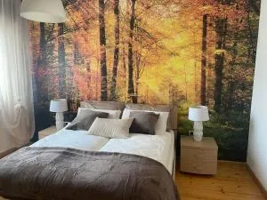 Agritur Chalet Belvedere - 圣米凯莱亚拉迪杰