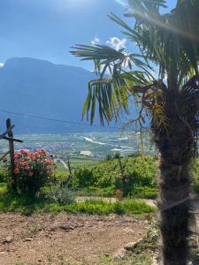 Agritur Chalet Belvedere