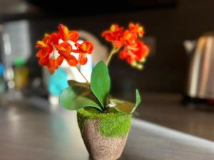 Downtown Chic Condo Rooftop Pool #EN33918