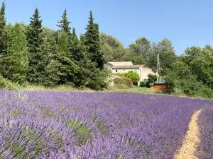 Maison au Colorado Provençal - Rustrel