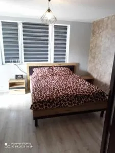 Willa u Oliwiera - 扎莫希奇