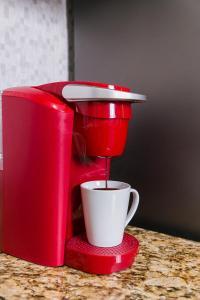 Charming Studio with Garden Oasis in Kingston